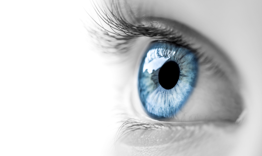 Read Insights about 7 Interesting Facts About Blue Eyes from