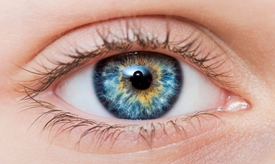 Blue eyed people related to single ancestor: Study Blue-eyed